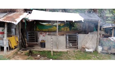 FINCA PRODUCTIVA EN VENTA EN RIO FRIO SALONICA VALLE DEL CAUCA