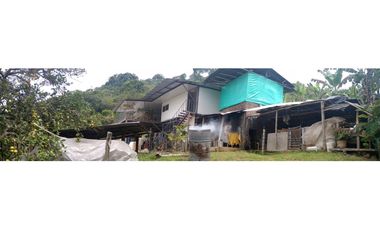 FINCA PRODUCTIVA EN VENTA EN RIO FRIO SALONICA VALLE DEL CAUCA