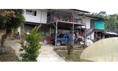 FINCA PRODUCTIVA EN VENTA EN RIO FRIO SALONICA VALLE DEL CAUCA