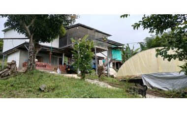 FINCA PRODUCTIVA EN VENTA EN RIO FRIO SALONICA VALLE DEL CAUCA