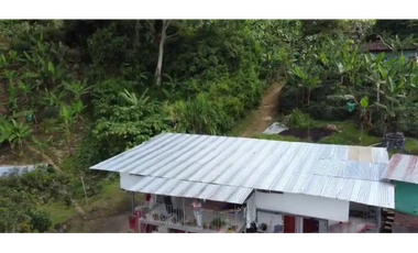 FINCA PRODUCTIVA EN VENTA EN RIO FRIO SALONICA VALLE DEL CAUCA