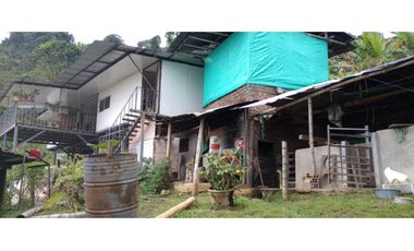 FINCA PRODUCTIVA EN VENTA EN RIO FRIO SALONICA VALLE DEL CAUCA