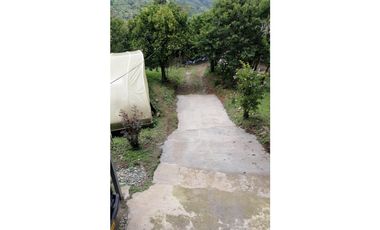 FINCA PRODUCTIVA EN VENTA EN RIO FRIO SALONICA VALLE DEL CAUCA