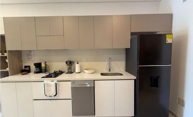 Apartasuite Amoblado para estrenar con Turísmo - 005