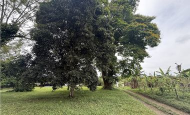 Se Vende Lote Rural Cerca Al Club Campestre De Armenia