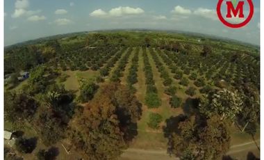 Se Vende Lote Rural Cerca Al Club Campestre De Armenia