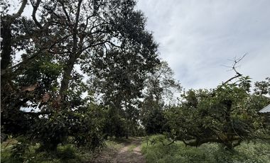 Se Vende Lote Rural Cerca Al Club Campestre De Armenia