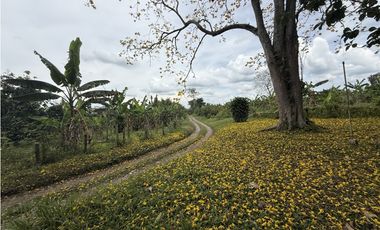 Se Vende Lote Rural Cerca Al Club Campestre De Armenia