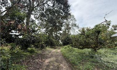 Se Vende Lote Rural Cerca Al Club Campestre De Armenia