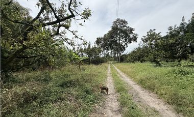 Se Vende Lote Rural Cerca Al Club Campestre De Armenia