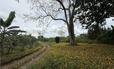 Se Vende Lote Rural Cerca Al Club Campestre De Armenia