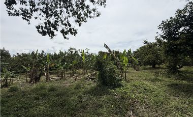 Se Vende Lote Rural Cerca Al Club Campestre De Armenia