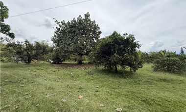 Se Vende Lote Rural Cerca Al Club Campestre De Armenia
