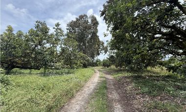Se Vende Lote Rural Cerca Al Club Campestre De Armenia