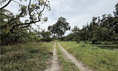 Se Vende Lote Rural Cerca Al Club Campestre De Armenia