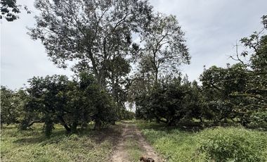 Se Vende Lote Rural Cerca Al Club Campestre De Armenia