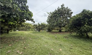 Se Vende Lote Rural Cerca Al Club Campestre De Armenia
