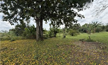 Se Vende Lote Rural Cerca Al Club Campestre De Armenia