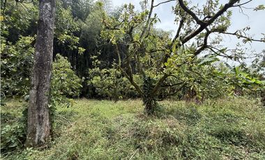 Se Vende Lote Rural Cerca Al Club Campestre De Armenia