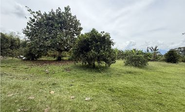 Se Vende Lote Rural Cerca Al Club Campestre De Armenia