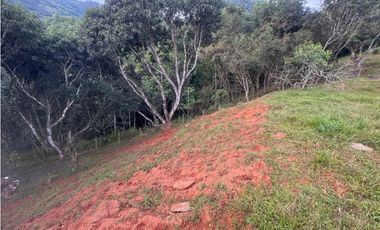 lote en san jeronimo vereda quimbaya