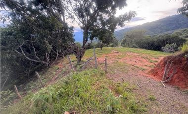lote en san jeronimo vereda quimbaya