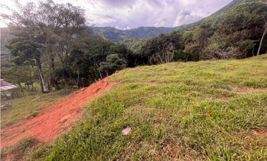 lote en san jeronimo vereda quimbaya
