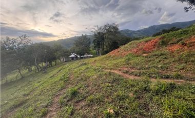 lote en san jeronimo vereda quimbaya