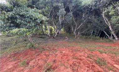 lote en san jeronimo vereda quimbaya