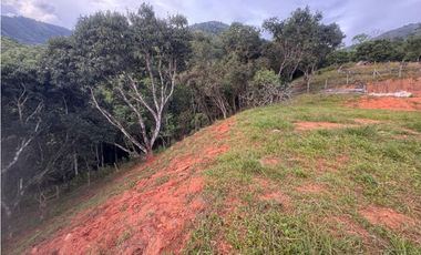 lote en san jeronimo vereda quimbaya