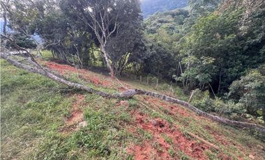 lote en san jeronimo vereda quimbaya