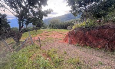 lote en san jeronimo vereda quimbaya
