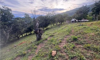 lote en san jeronimo vereda quimbaya