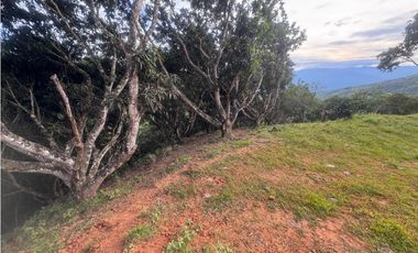 lote en san jeronimo vereda quimbaya