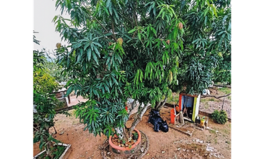 Casa en venta en Natá de los Caballeros – Centro Villa Lola