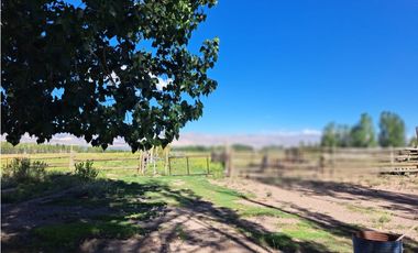 EXCELENTE FINCA DE 19,5 HECTREAS – SAN ALBERTO, USPALLATA, MENDOZA