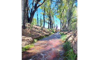 EXCELENTE FINCA DE 19,5 HECTREAS – SAN ALBERTO, USPALLATA, MENDOZA