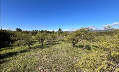En venta complejo de cabañas mas casa, Icho Cruz