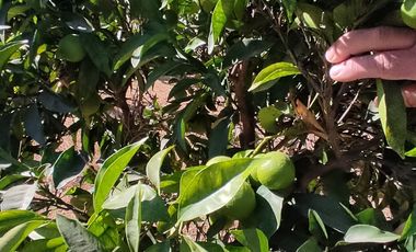 SE VENDE EXPECTACULAR PARCELA EN MELIPILLA