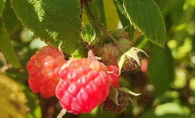 SE VENDE EXPECTACULAR PARCELA EN MELIPILLA