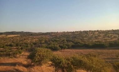 OPORTUNIDAD 6,17 HECTÁREAS APTAS PARA AGRICULTURA