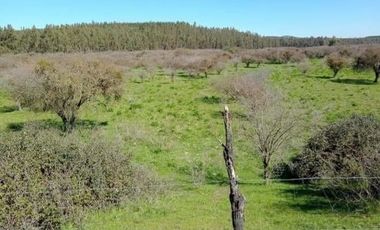 OPORTUNIDAD 6,17 HECTÁREAS APTAS PARA AGRICULTURA