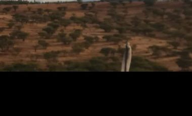 OPORTUNIDAD 6,17 HECTÁREAS APTAS PARA AGRICULTURA