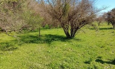 OPORTUNIDAD 6,17 HECTÁREAS APTAS PARA AGRICULTURA
