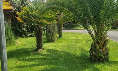 GRAN PROPIEDAD EN SECTOR MUY SEGURO 350 M2