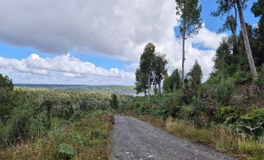 PARCELA EN LOTEO LAGO TARAHUIN
