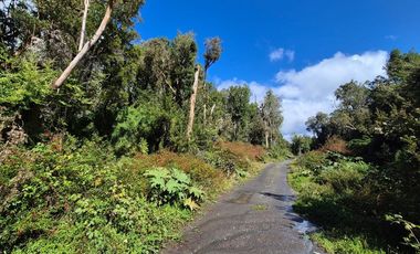 PARCELA EN LOTEO LAGO TARAHUIN