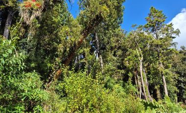PARCELA EN LOTEO LAGO TARAHUIN