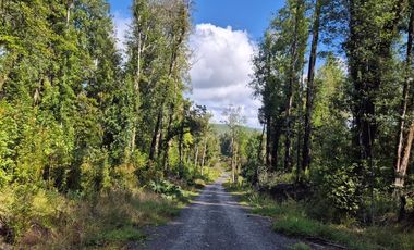 PARCELA EN LOTEO LAGO TARAHUIN