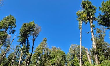 PARCELA EN LOTEO LAGO TARAHUIN